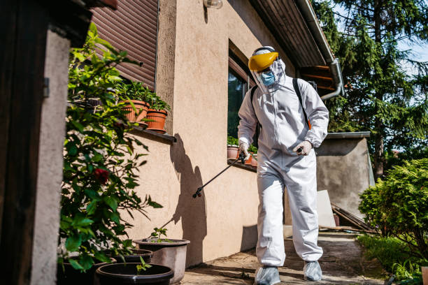 Best Cockroach Control Services  in New Paleste, IN