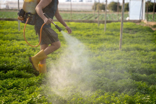 Best Best Pest Control Companies  in New Paleste, IN