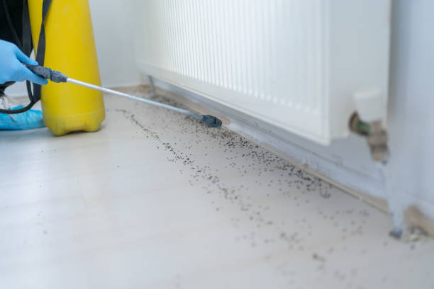 Best Commercial Pest Control Services  in New Paleste, IN