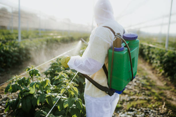 Best Wildlife Control Services  in New Paleste, IN